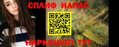 амф Гусев
