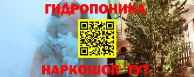 амф Гусев