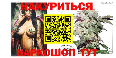 амф Гусев