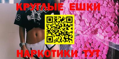 амф Гусев