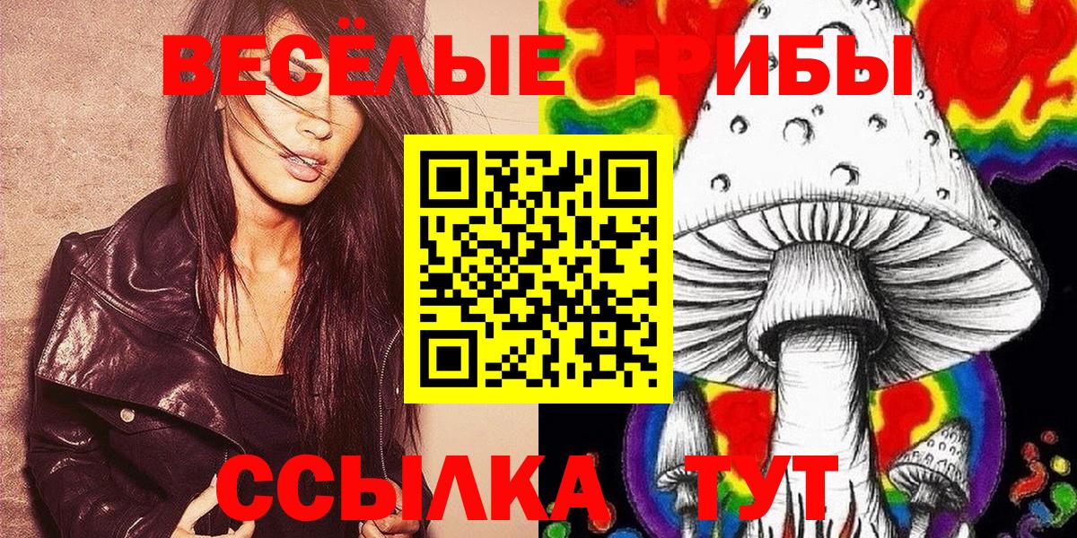 Псилоцибиновые грибы Psilocybe  Вход с VPN  Бутурлиновка  Галлюциногенные грибы GOLDEN TEACHER 